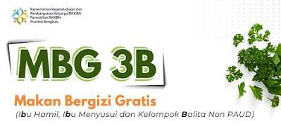 logo mbg